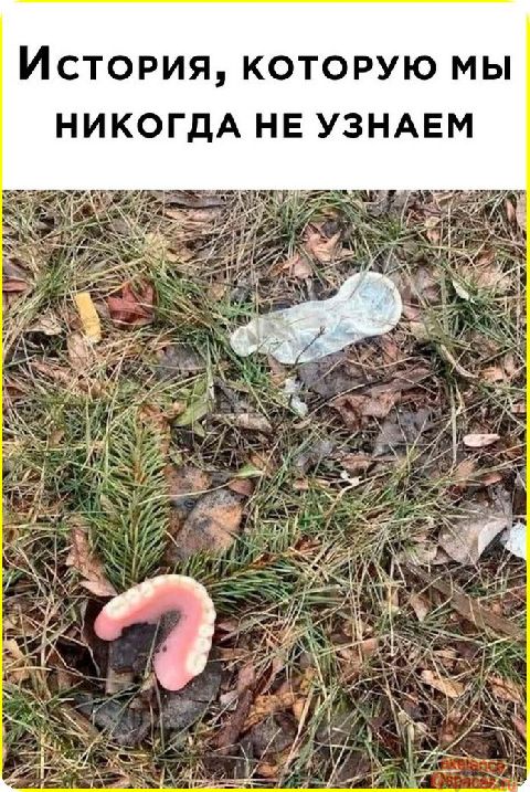 ИСТОРИЯ КОТОРУЮ МЫ НИКОГДА НЕ УЗНАЕМ