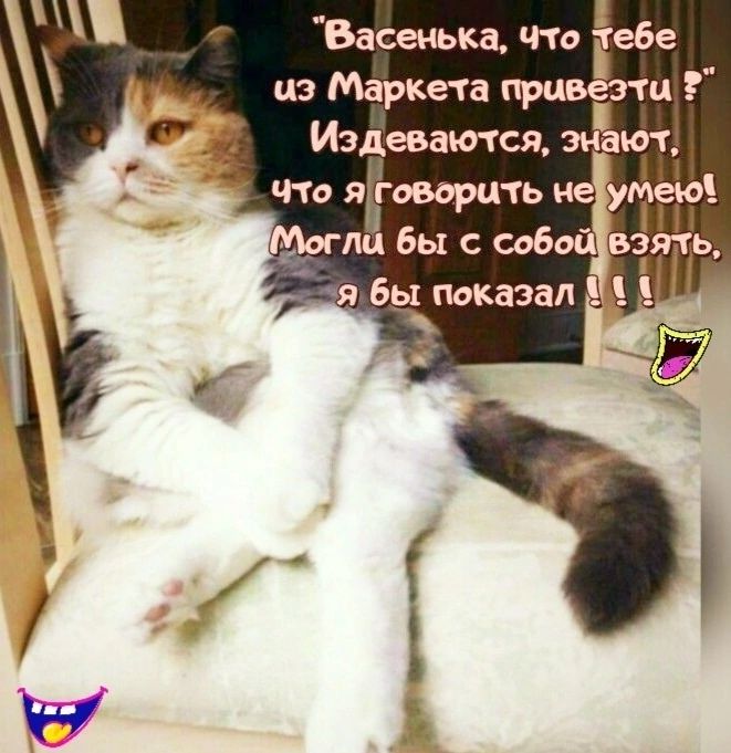 Васенька что ебе цз Маркета при _ Издавался