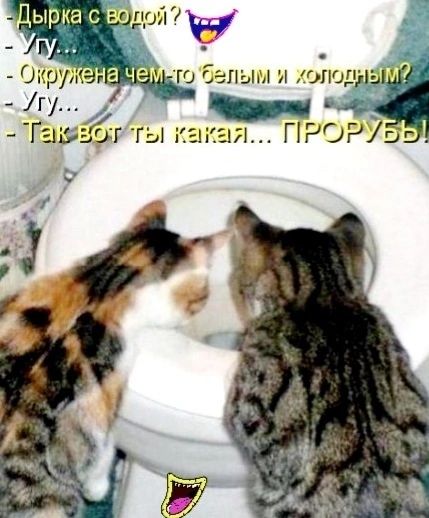 Оікрул гу