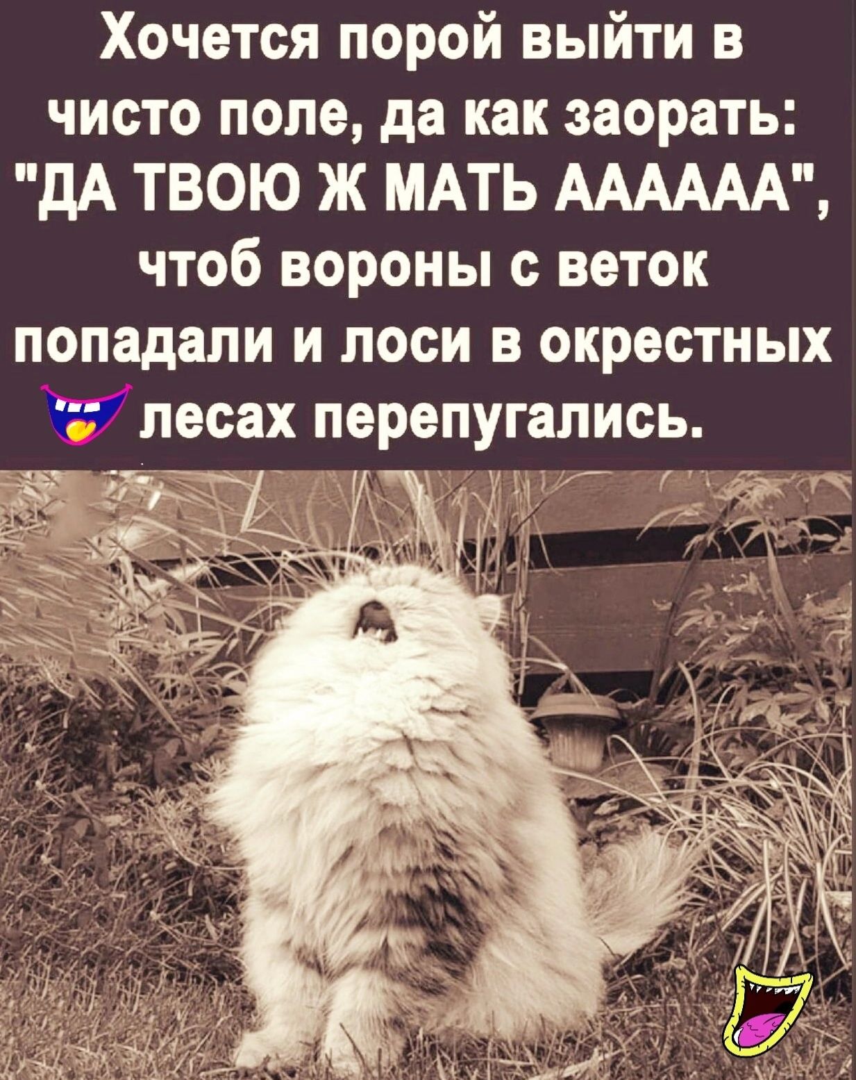 Хочется порой выйти в чисто поле да как заорать дА ТВОЮ Ж МАТЬ АААААА чтоб вороны с веток попадали и лоси в окрестных лесах перепугались