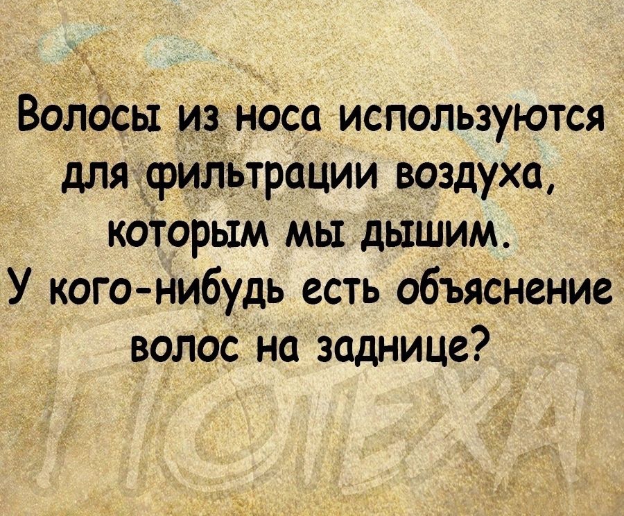 _ ВолсЗсы износа используются для дэийьтрации воздуха коіорым мы дышим У когонибудь есть объяснение волос на заднице