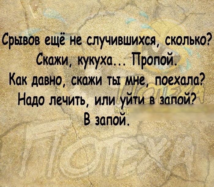 _Срывав ещё не случившихся сколько Скажи кукуха Пропой Как давно СкФки ты мне поехала Надо лечить или уйти в запой В запой