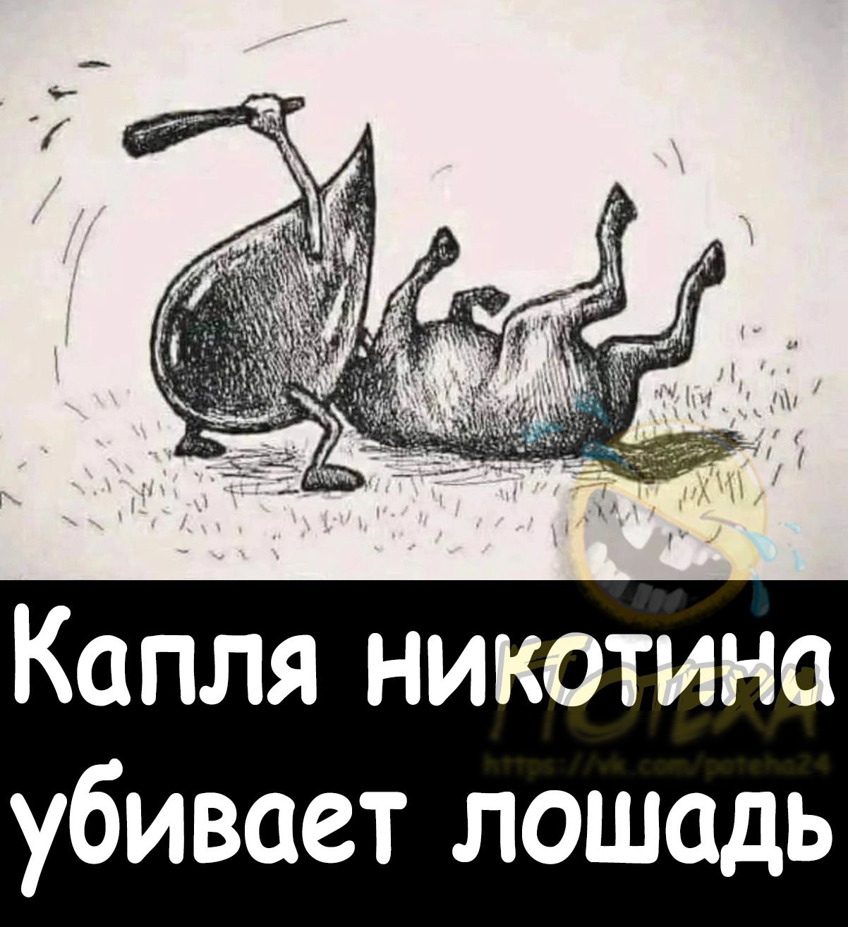 Капля никотина убивает лошадь