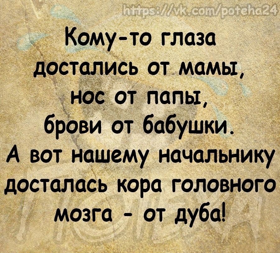 Комуто глаза достолйсь от мамы ной от папы брови от бабушки А вот нашему начальнику досталась кора головного мозга от дуба