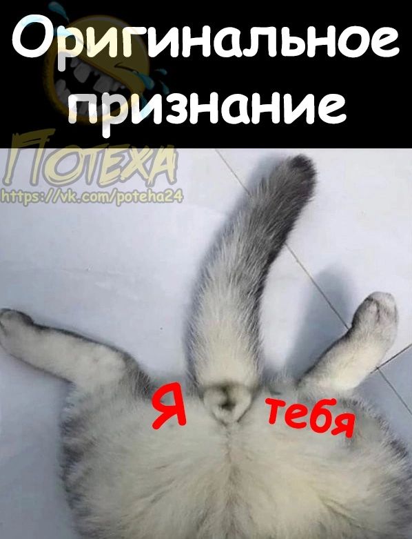 Оригинальное признание