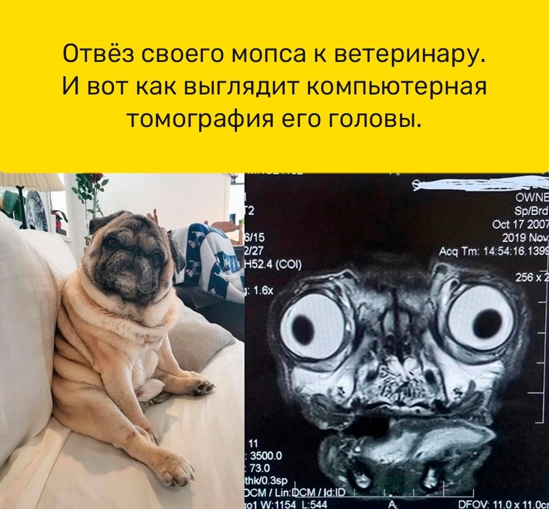 5 е