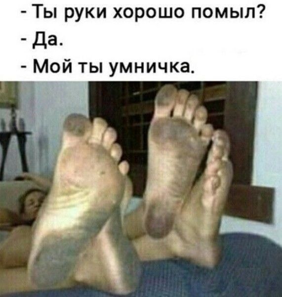 Ты руки хорошо помыл Да Мой ты умничка