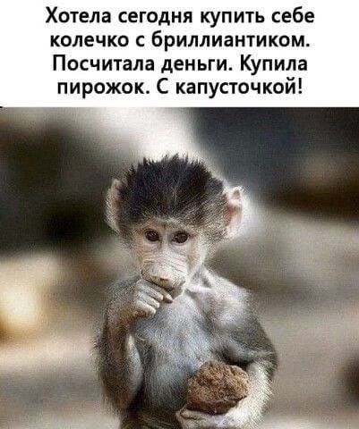 Хотела сегодня купить себе колечко с бриллиантиком Посчитала деньги Купила пирожок С капусточкой