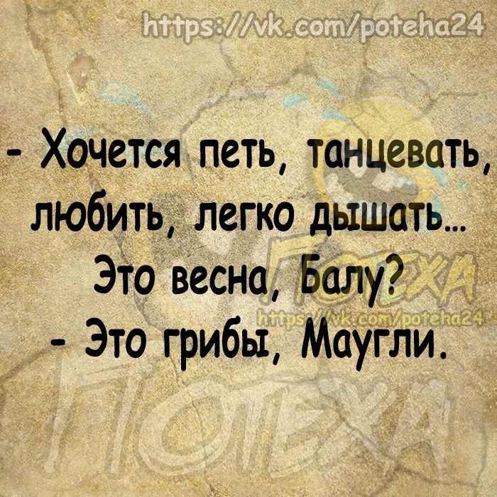 Хачется петь танцевать любить легко дышать Это весна Балу Это грибы Маугли