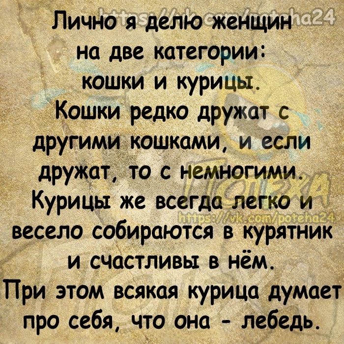 Лично я делю женщин на две категории кошки и курицы Кошки редко дружат с другими кошками и если дружат то с немногими Курицы же всегда л гко и Ё весело собираются в курятник и счастливы в нём При этом всякая курица думает про себя что она лебедь