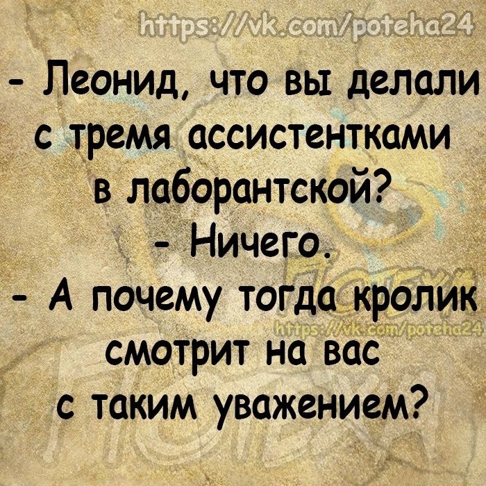 Леонид что вы делали с тремя ассистентками в лаборантской Ничего А почему тогда кролик смотрит на вас с таким уважением