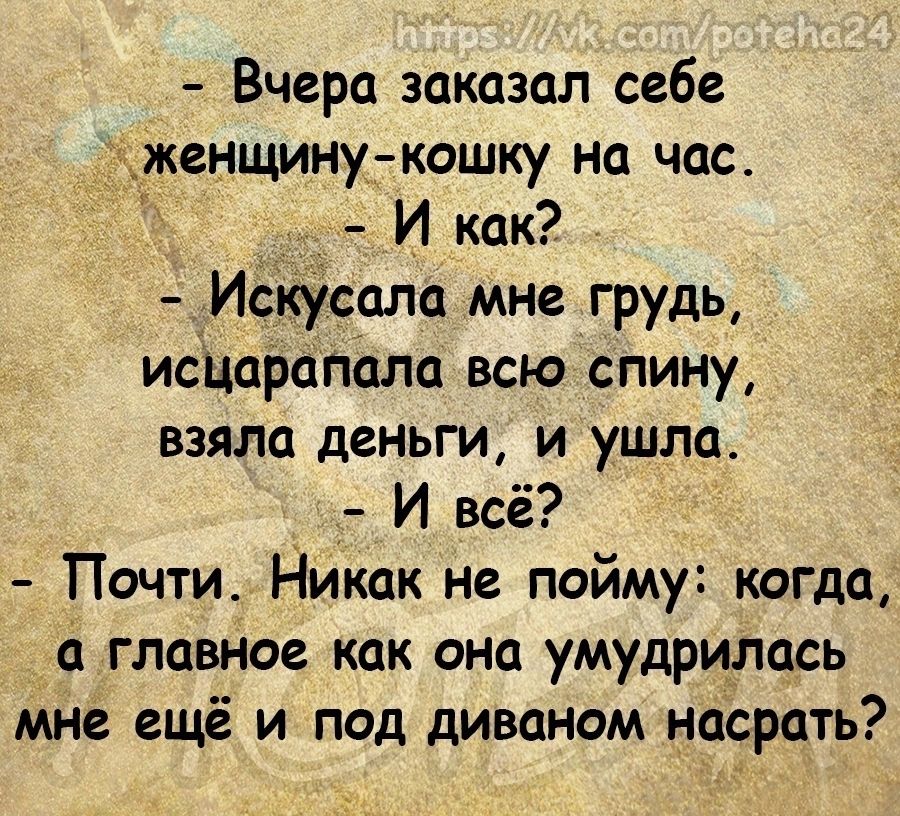 Вчера заказал себе жденщину кошку на час 1 И как искусала мне грудь иаЦаРаПала всю спину взяла деньги и ушла _ И всё Почти Никак не пойму когда а главное как она умудрилась мне ещё и под диваном насрать