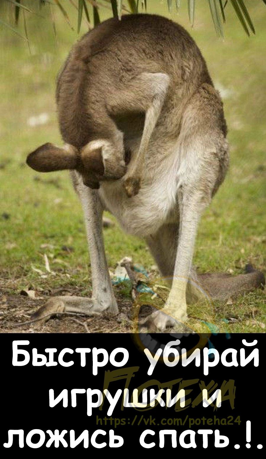 Быстро убирай игрушки и ложись спать
