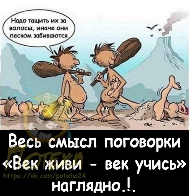Надо Упщитъ их за вппош ин си песком шбииюид Весь смысл поговорки Век живи век учись наглядно