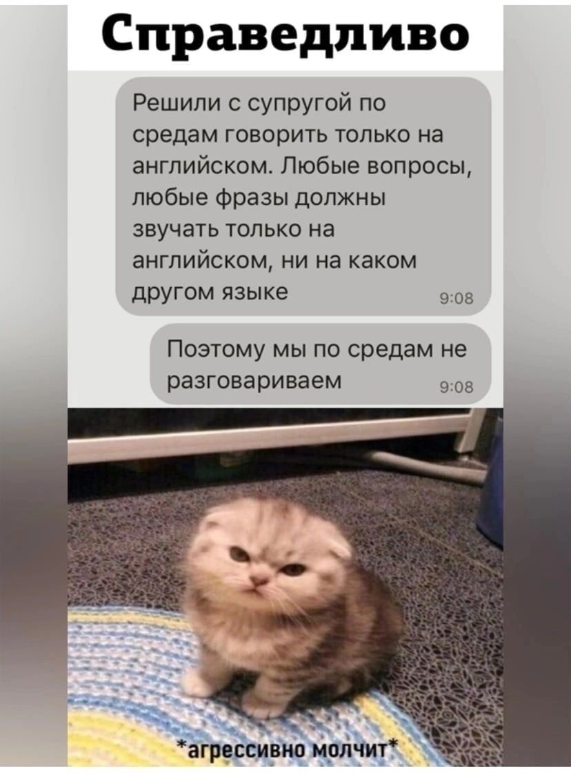 Справедливо Решили с супругой по средам говорить только на английском Любые вопросы любые Фразы должны звучать только на английском НИ На каком другом языке а поэтому мы по средам не разговариваем 9