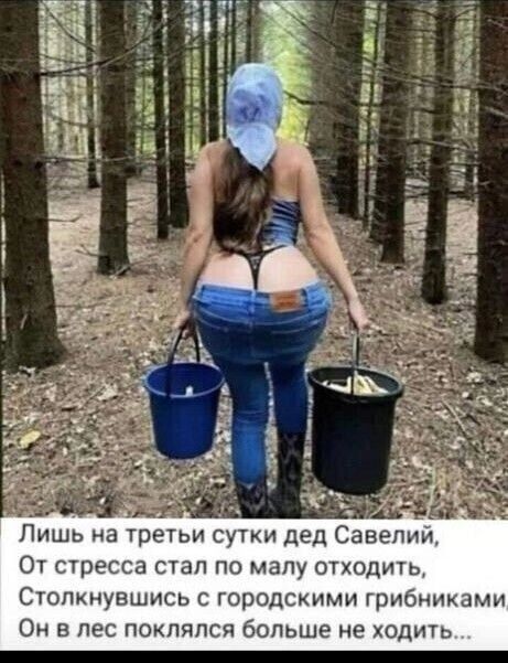 _ _ т_ Лишь на третьи сутки дед Савелии От стресса стал по малу отходитьт Столкнувшись с городскими грибниками Он в лес поклялся больше не ходить