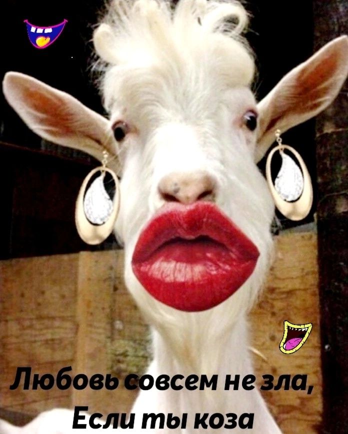 Если ты коза