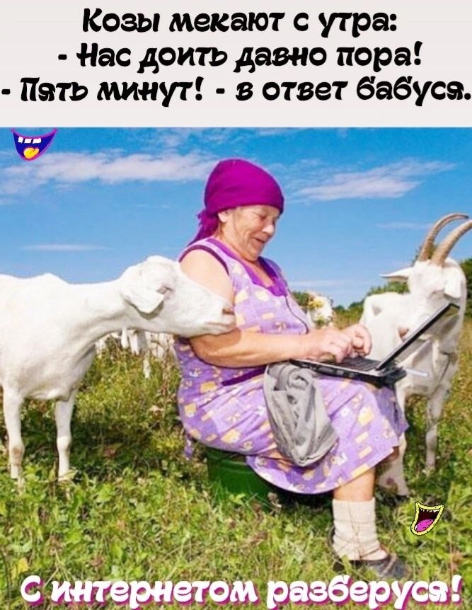 Козы мекают с утра Нас доить давно пора Пять минут в ответ бабуса