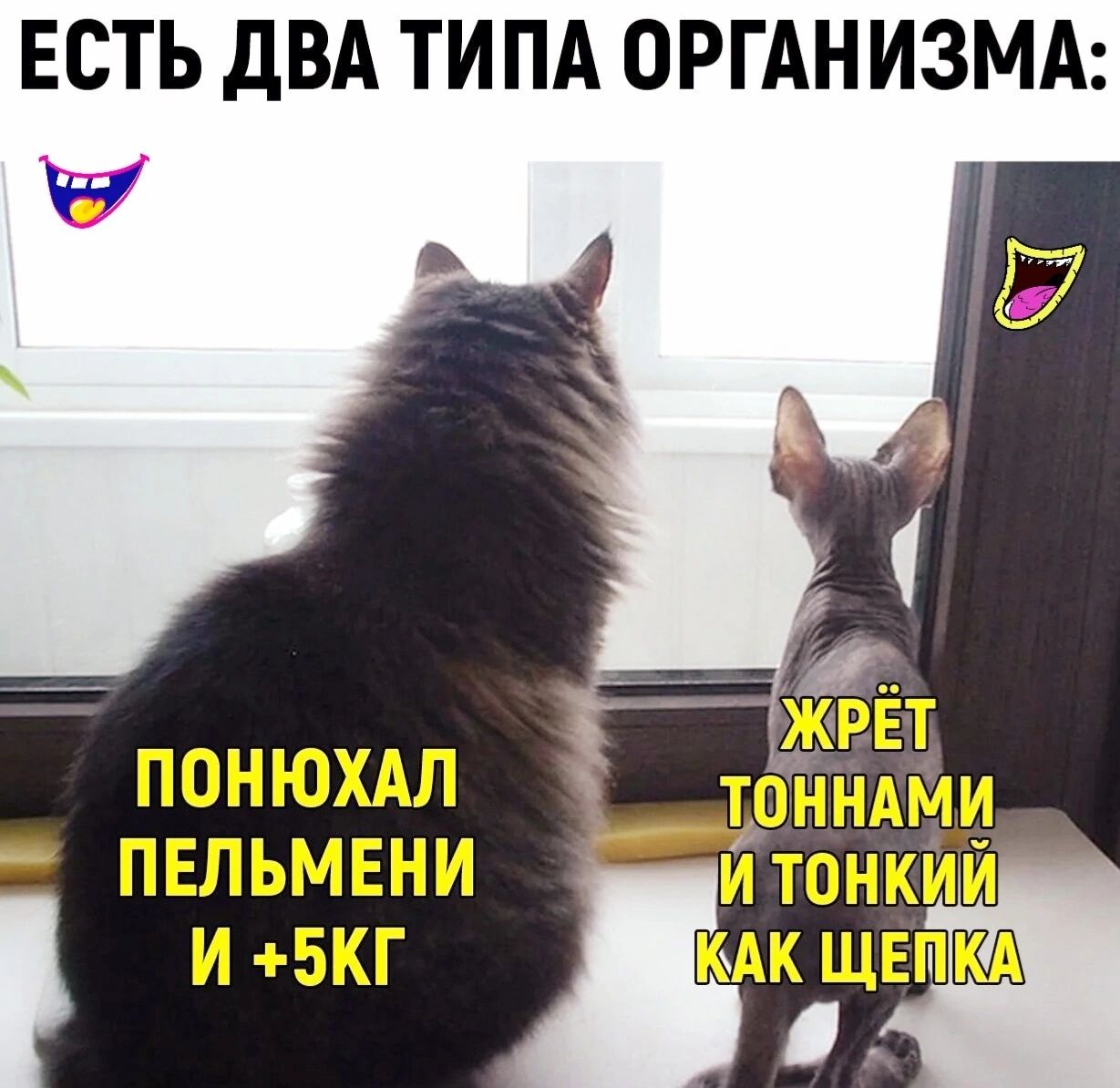 ЕСТЬ дВА ТИПА ОРГАНИЗМА