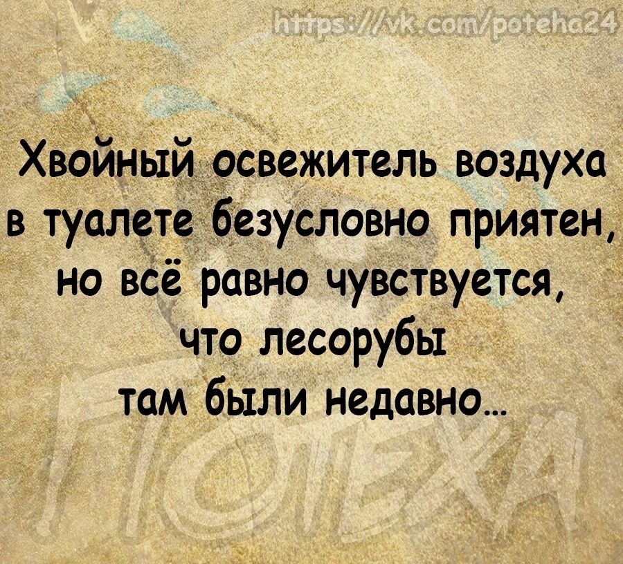 Хвойныйрсвежитель воздуха в туалете безусловно приятен но всё равно чувствуется что лесорубы там были недавно