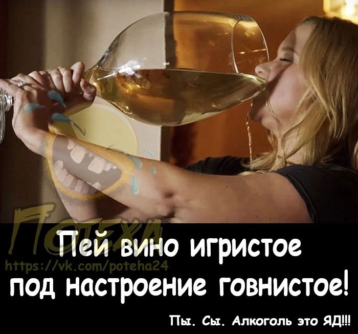 Пей вино игристое под настроение говнистое Пп ен Алкоголь по Яд