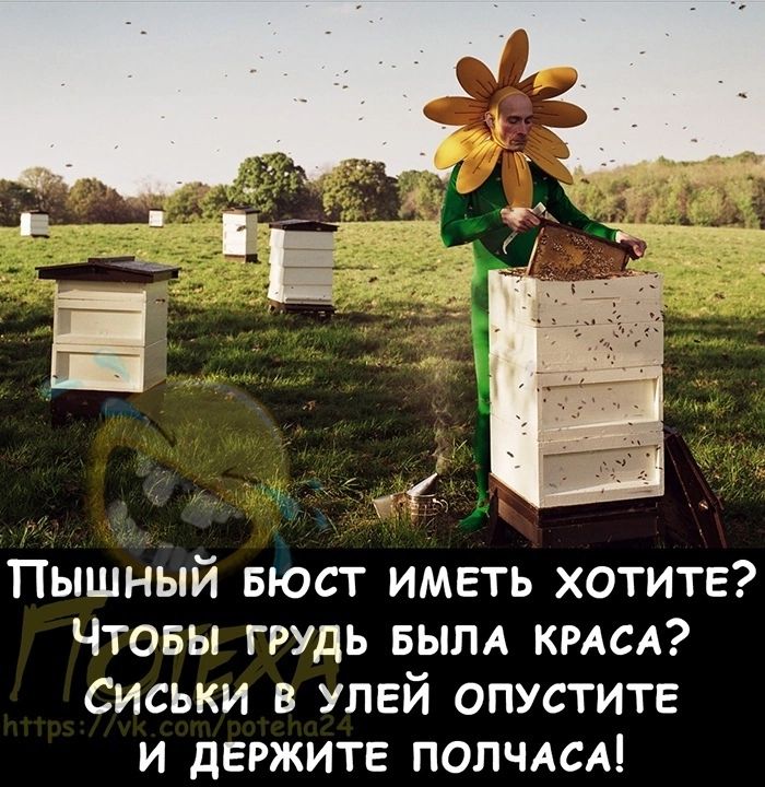 Пышный БЮСТ иметь хотите Чтовы грудь БЫЛА кмсд сиськи в улей опустите и держите ПОЛЧАСА