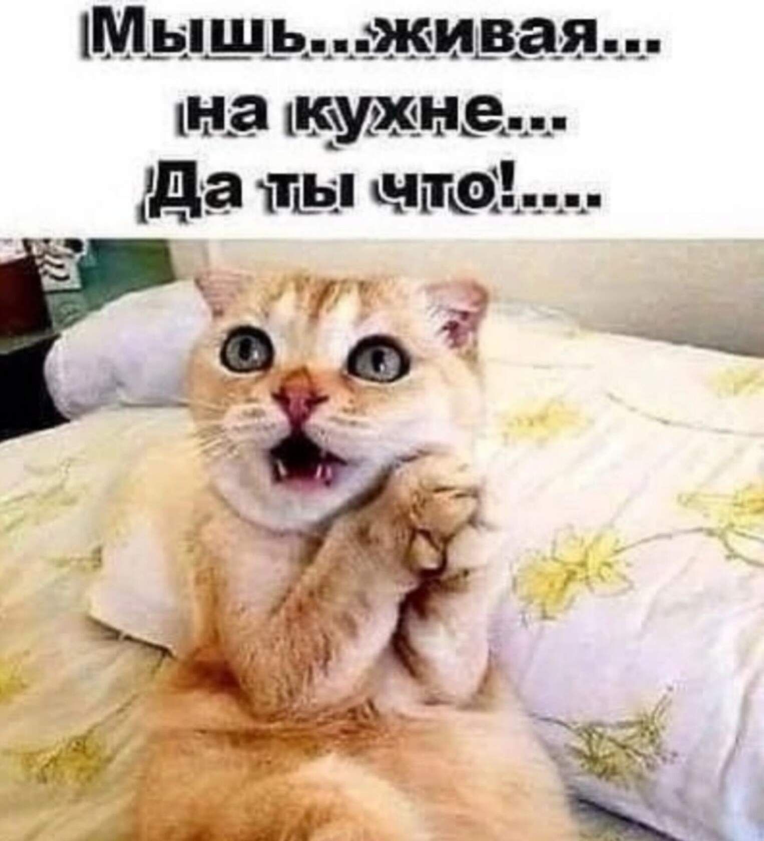 М_Ь_пь_аи_ида_я __ на у е д а МЫ мм