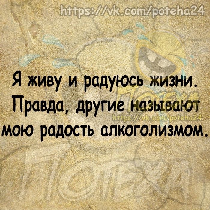 Я Живу и_ радуюсь жизни Правда другие называют мою радость алкоголизмом