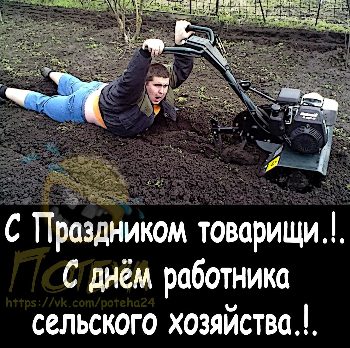 С Праздником товарищи С днём работника сельского хозяйства