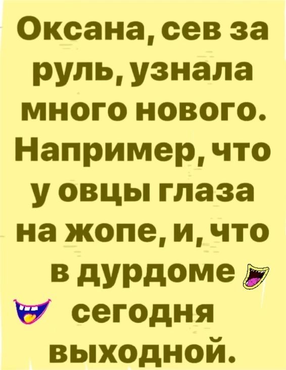 Оксана сев за руль узнала много нового Например что у овцы глаза на жопе и что в дурдоме сегодня выходной