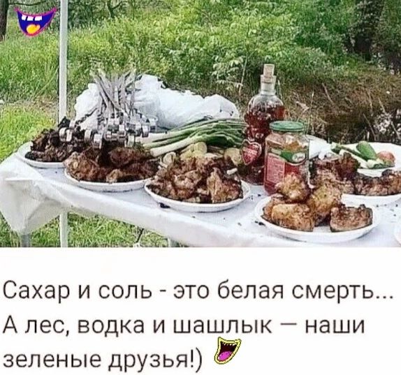 Сахар и соль это белая смерть А пес водка и шашлык наши зеленые друзья И