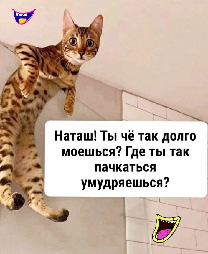 _ Наташ Ты чё так долго моешься Где ты так пачкаться умудряешься