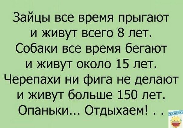 Зайцы все время прыгают и живут всего 8 лет Собаки все время бегают и живут около 15 лет Черепахи ни фига не делают и живут больше 150 лет Опаньки Отдыхаем