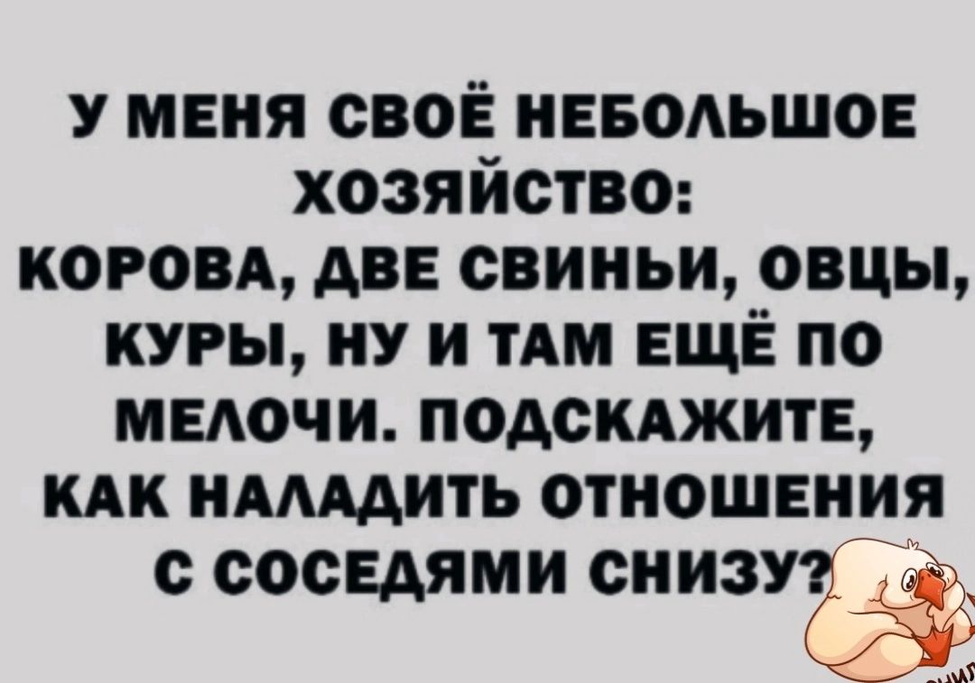 у меня свой нвводьшов хозяйство коровд дв свиньи овцы куры ну и ТАМ ЕЩЁ по мыочи подскджитн кдк идмдить отношения с соседями СИИЗУЁЁЁ