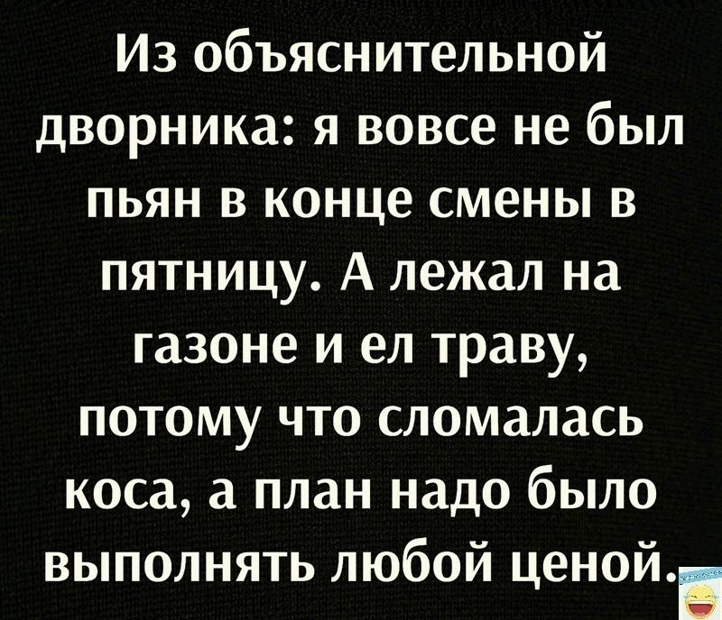 Из объяснительной дворника я вовсе не был пьян в конце смены в пятницу А лежал на газоне и ел траву потому что сломалась коса план надо было выполнять любой ценой