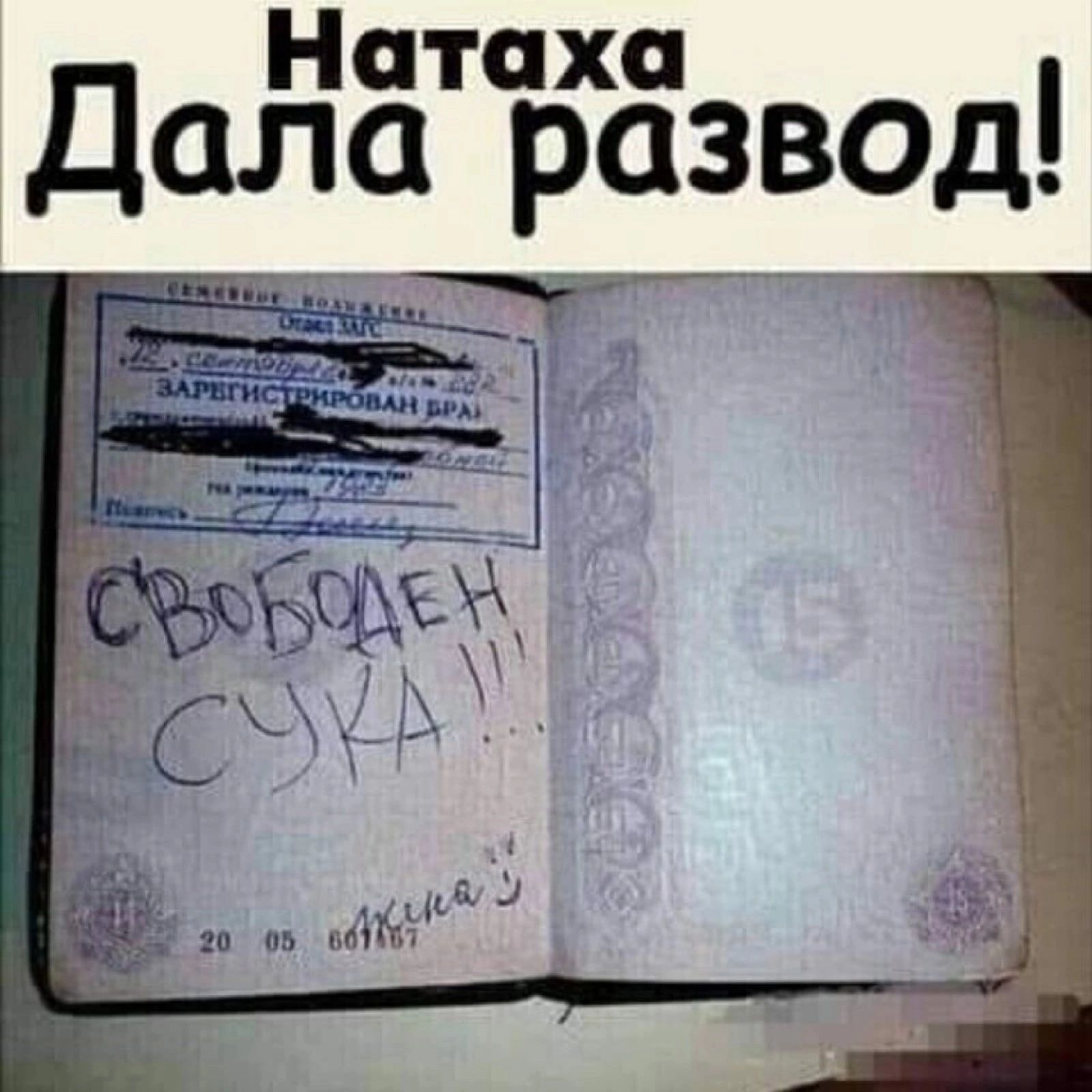 Натаха Дала развод