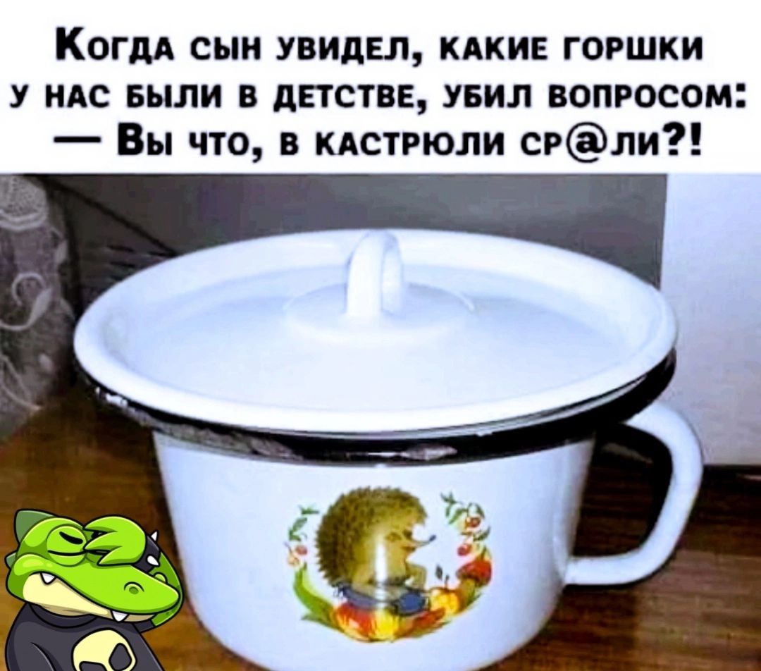 КОГДА СЪШ УВИДЕЛ КАКИЕ ГОРШКИ у ндс БЫЛИ в дпстве увил вопросом Вы что в кастрюли сгли