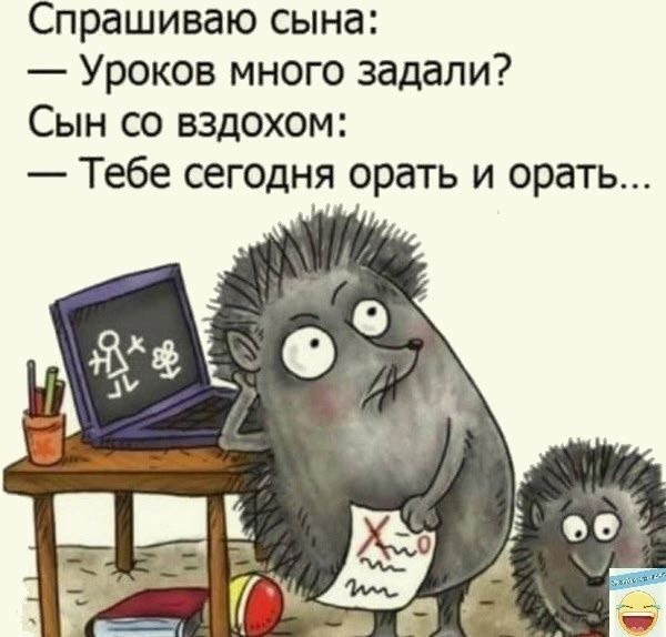 Спрашиваю сына Уроков много задали Сын со вздохом Тебе сегодня орать и орать