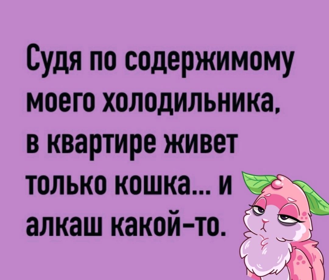 Судя по содержимому моего холодильника в квартире живет только кошка и алкаш какой то