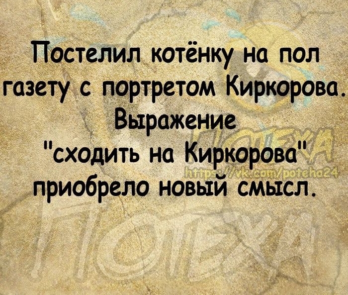 _ Пцстелил котёнку на пол газету с портретом Киркорова Заражение сходить на Киркррова приобрело новый сЖЁхсл