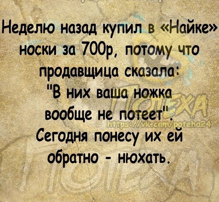 Неделю назад купил в Найке носки за 700р потому что Нродавщица сказала В них ваша ножка вообще не пЬт _ Сегодня понесу их ей обратно нюхать