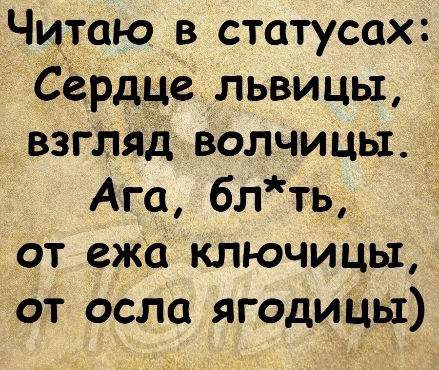 Чиуаю в статусах сердце львицы взгляд волчицы Ага блть от ежа ключицы от осла ягодицы