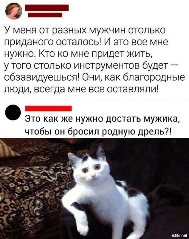 9 _ _ У меня от разных мужчин столько приданото осталось И это все мне нужно Кто ко мне придет жить у тото столько инструментов будет обзавидуешься Они как благородные люди всетда мне все оставляли _ Это как же нужно достать мужика чтобы он бросил родную дрель г