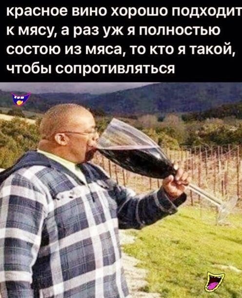 красное вино хорошо подходит к мясу а раз уж я полностью состою из мяса то кто я такой чтобы сопротивляться