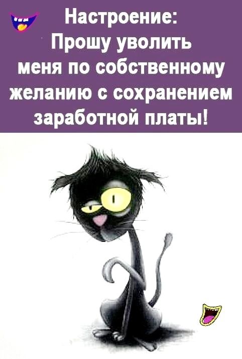 _ Настроение Прошу уволить меня по собственному желанию сохранением заработной платы