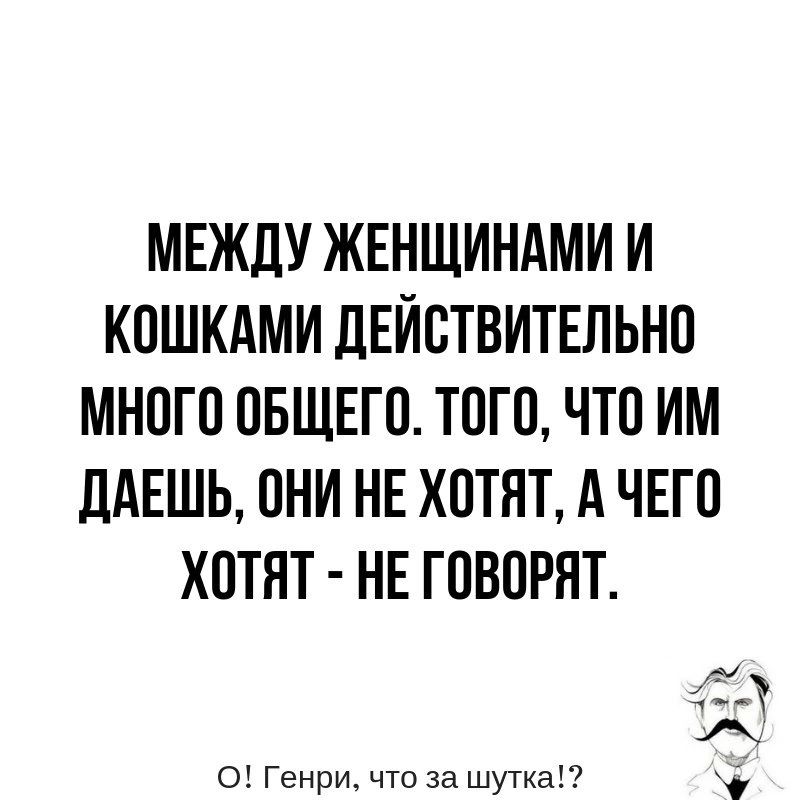 МЕЖДУ ЖЕНЩИНАМИ И КОШКАМИ ЛЕЙОТВИТЕЛЬНО МНОГО ОБЩЕГО ТОГО ЧТО ИМ дАЕШЬ ОНИ НЕ ХОТЯТ А ЧЕГО ХОТЯТ НЕ ГОВОРЯТ о Генри что за шутка