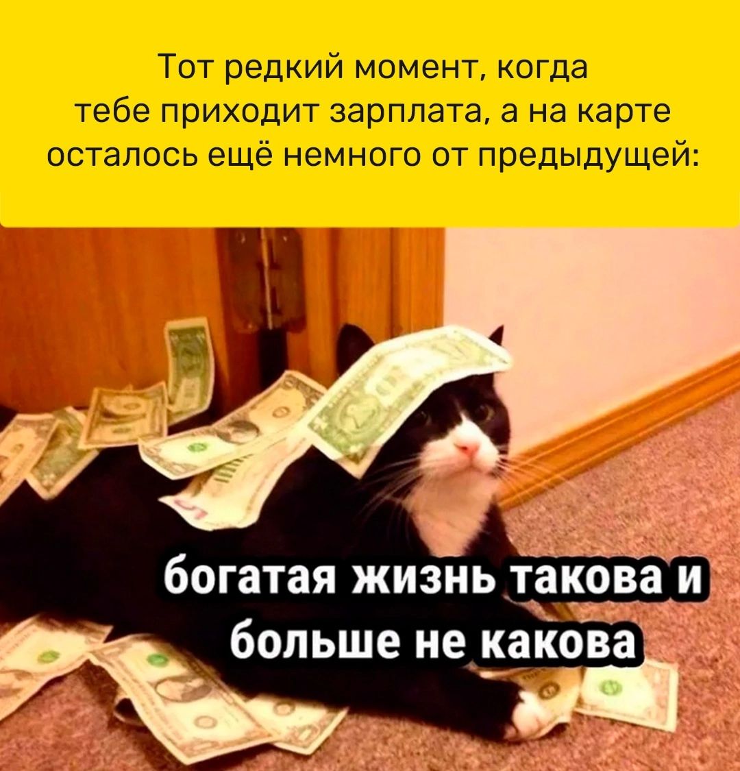 Тот редкий момент когда тебе приходит зарплата а на карте осталось еще немного от предыдущей