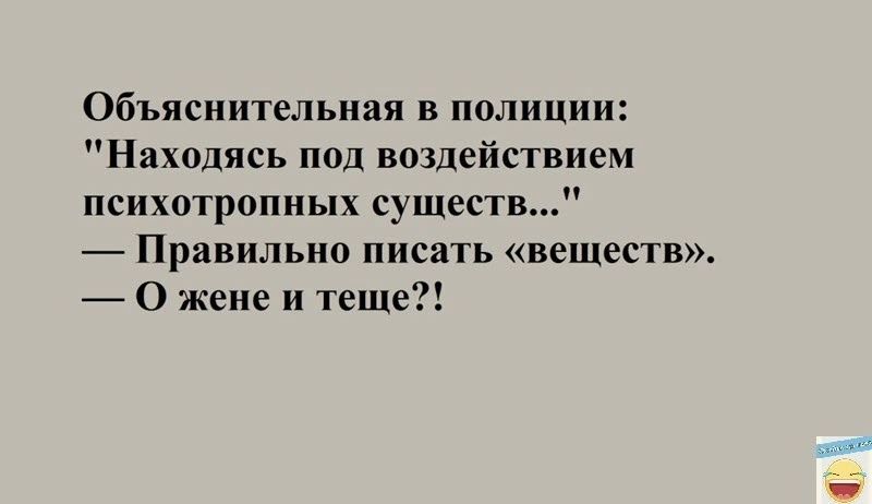 Объяснительная в полиции Находясь под воздействием психотропных существ Правильно ПИСЯТЬ ВЕЩЕСТВ О жене и теще