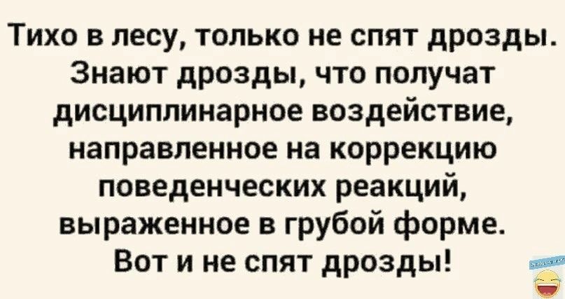 Тихо в лесу только не спят дрозды Знают дрозды что получат дисциплинарное воздействие направленное на коррекцию поведенческих реакций выраженное в грубой форме Вот и не спят дрозды 1