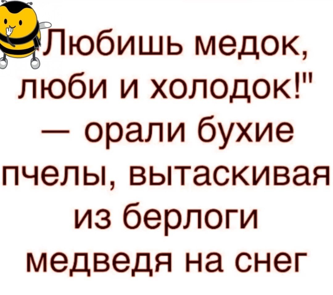 Любишь медок люби и холодок орали бухие пчелы вытаскивая из берлоги медведя на снег